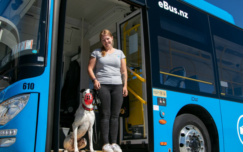 Cat and dog on eBus March 2024 6 Large