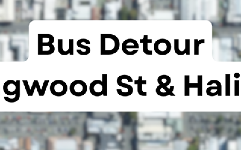 ebus detaours march 2025 header